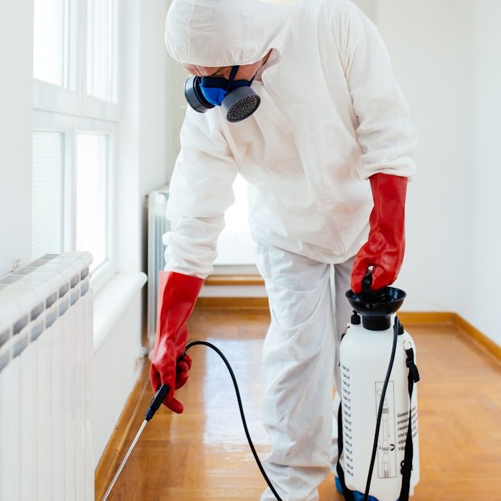 Person in protective gear spraying pesticide in an indoor setting.